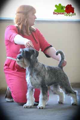 noldy_18_may_5.jpg
