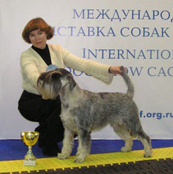 Eurasia-2008, Trels Ziglindagelis