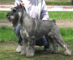   -2005