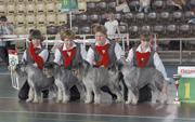 BIS Kennel