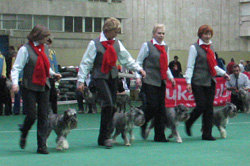 ISPU-2008, kennel TRELS