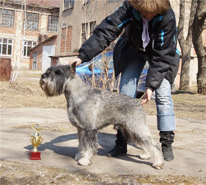 63.jpg