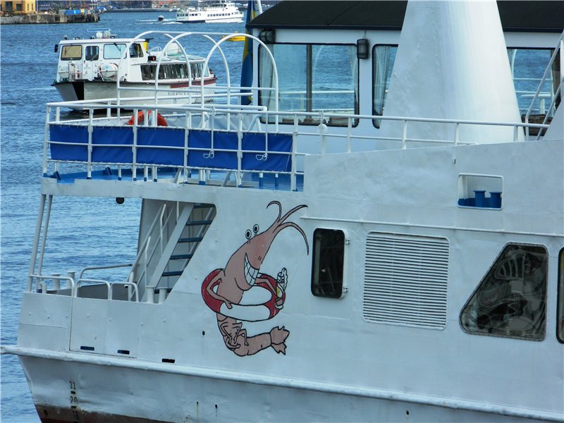 67.jpg