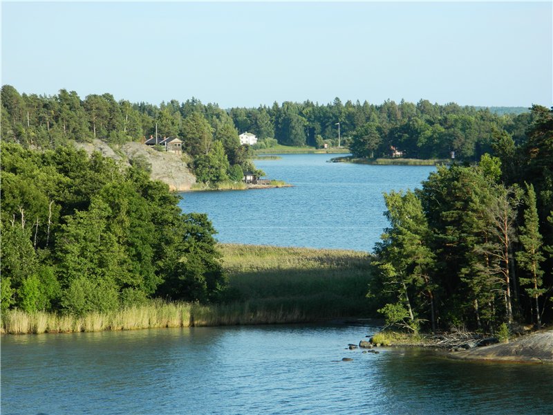 82.jpg