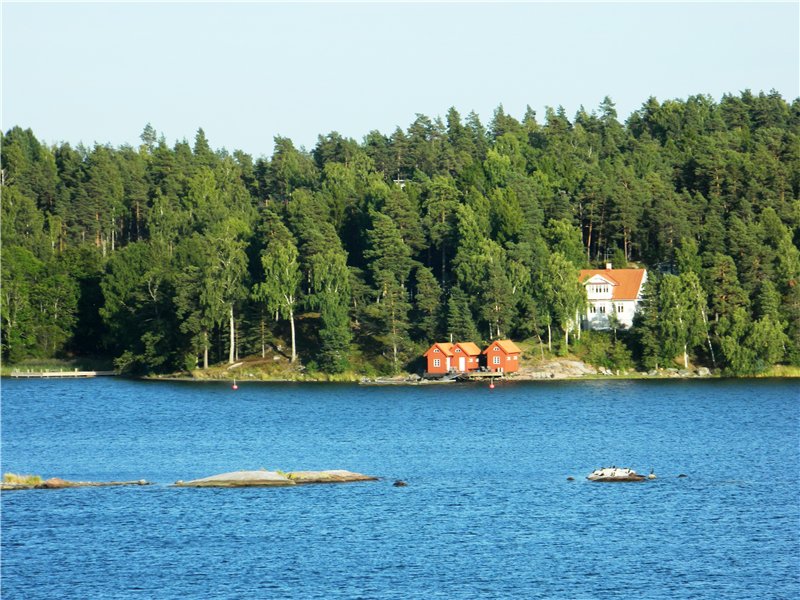 85.jpg