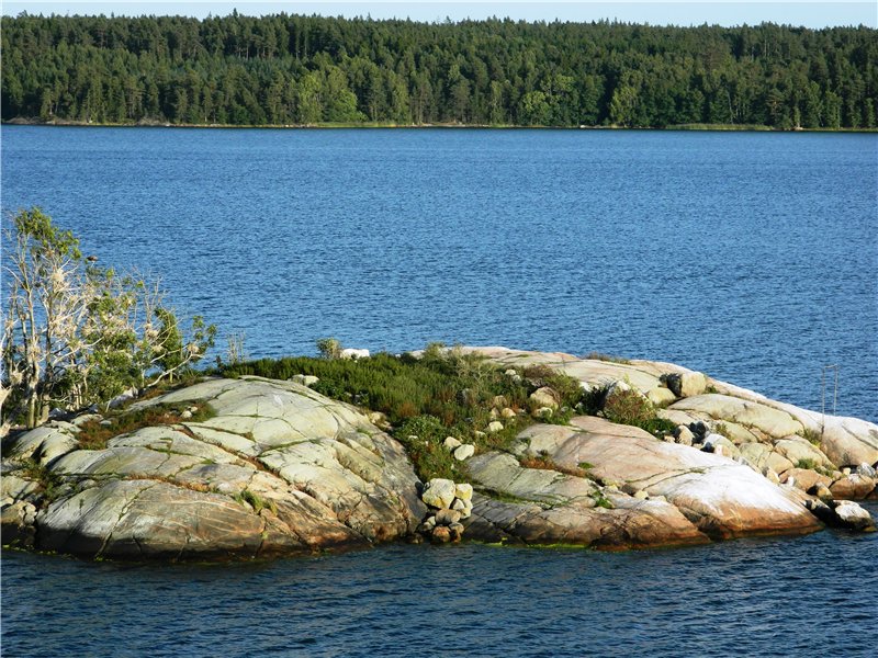 91.jpg