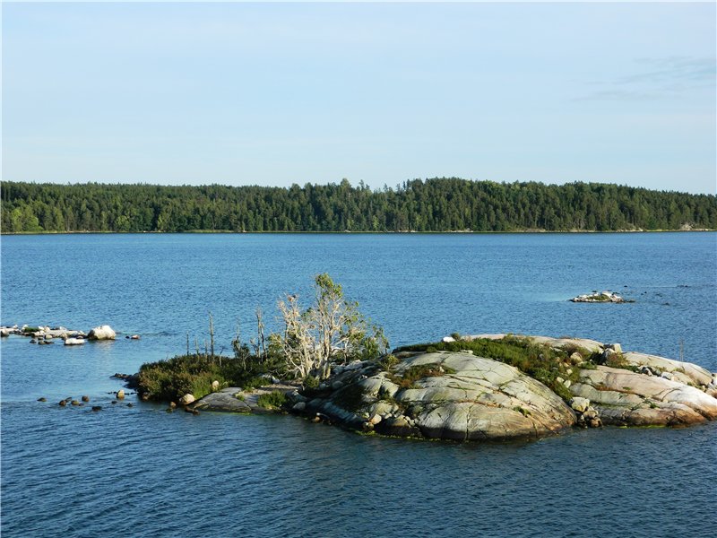92.jpg