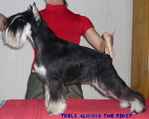 TRELS ALWEYS THE FIRST